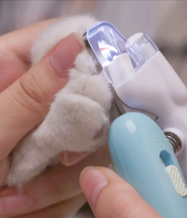 PawGlow LED Nail Clippers