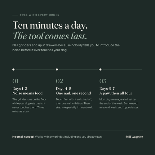 The Still Wagging 7-Day Method: days 1-3 noise means food, days 4-5 one nail one second, days 6-7 a paw then all four